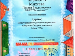 Сертификат Михеевой , 2020